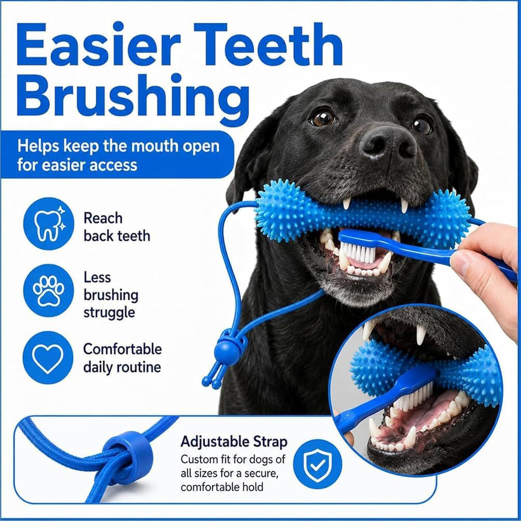 Dog Dental Chew Stick